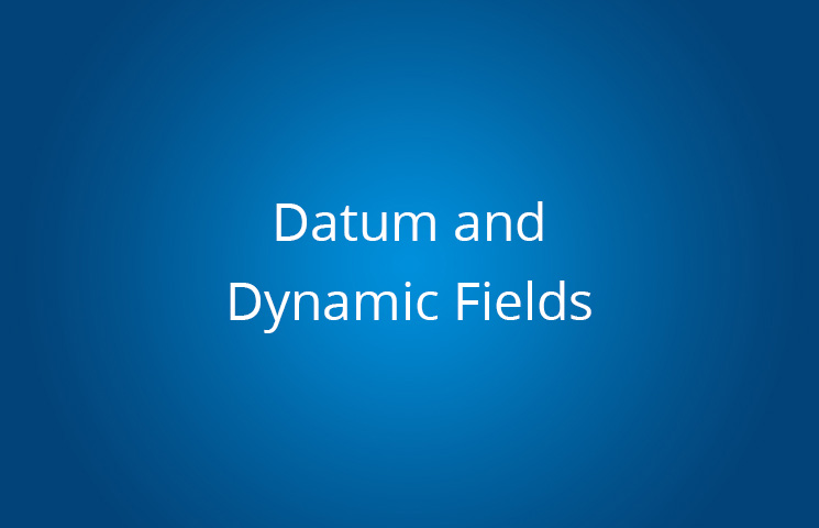 Datum and Dynamic Fields