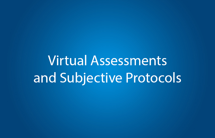 Virtual Assessment and Subjective Protocols