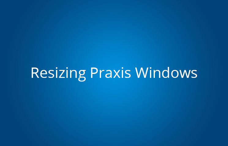 Resizing Praxis Windows