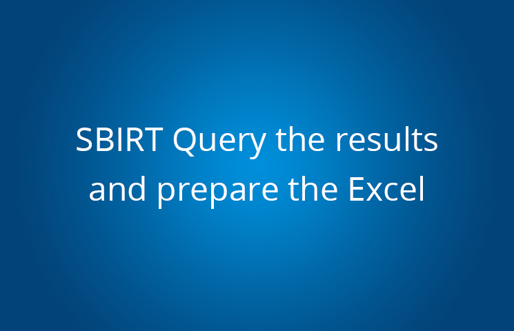 SBIRT Query the results and prepare the Excel